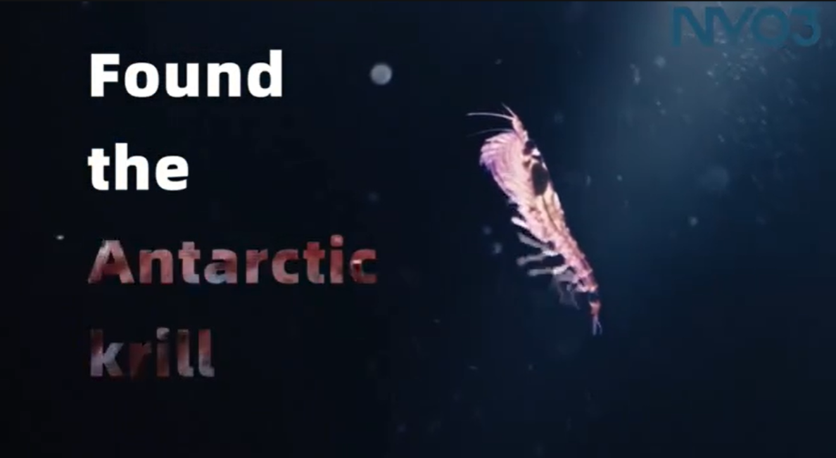 关于NYO3 | 源自挪威 抗衰纯粹