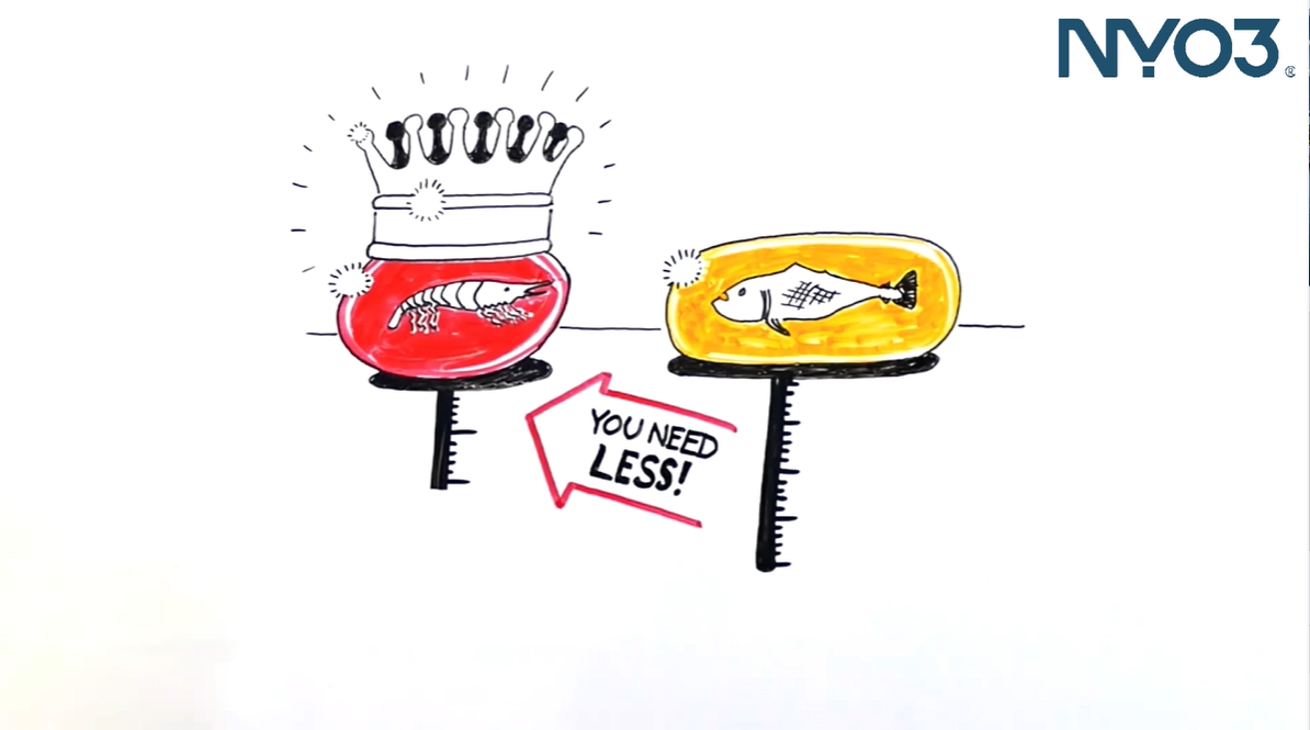 关于磷虾油 | 什么是磷虾油？