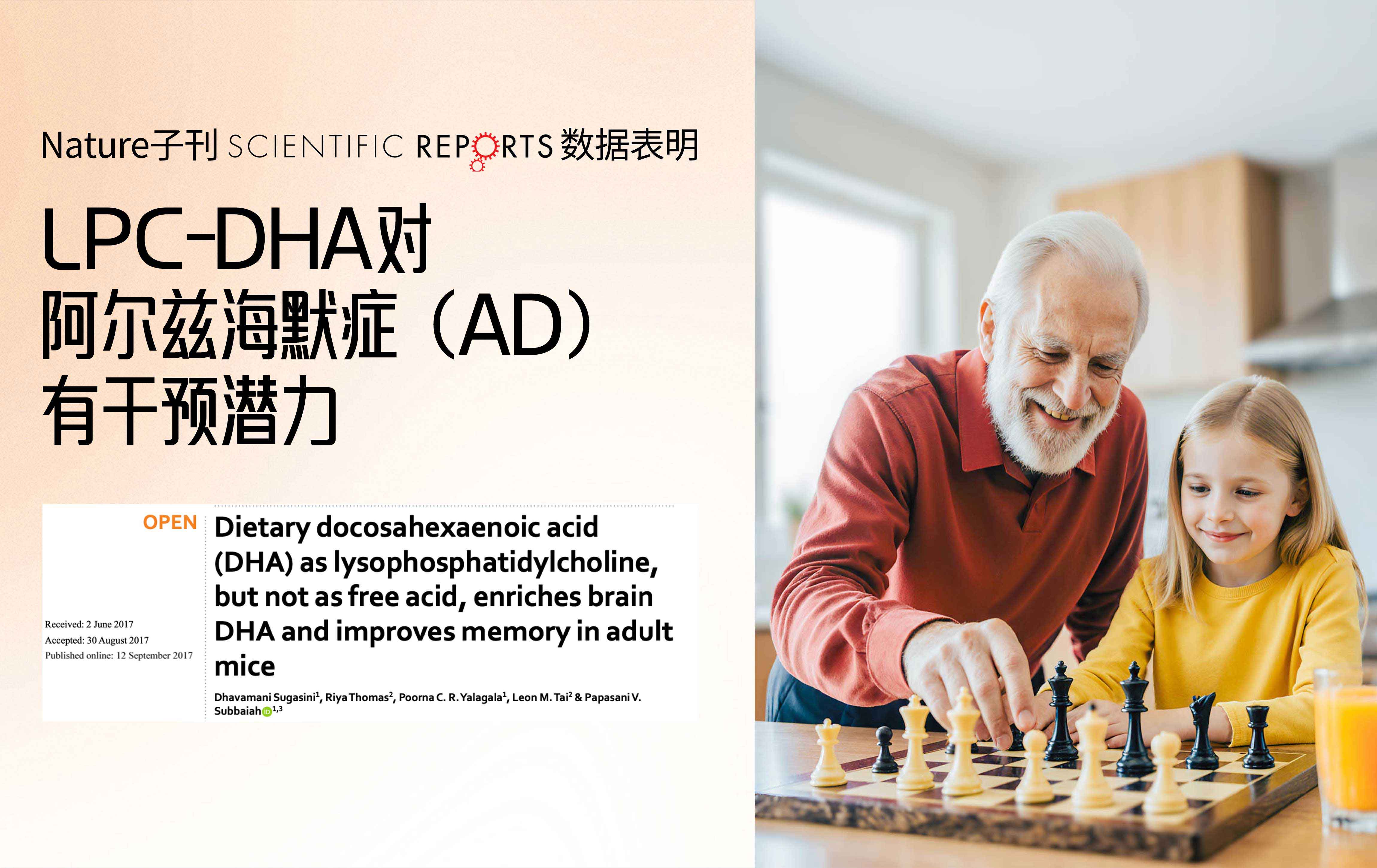 核心科学解读：LPC-DHA如何成为干预阿尔兹海默症（AD）的新希望